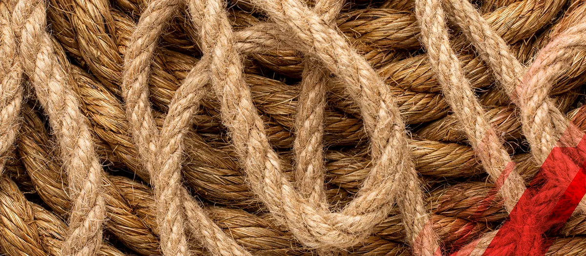 Exploring Top 10 Hemp Fiber Manufacturers in 2024